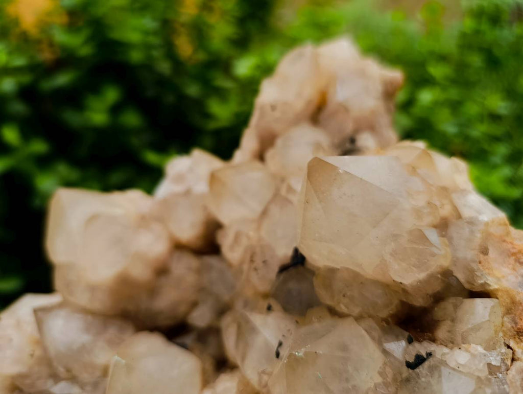 Natural XXL Smokey Phantom Quartz Cluster x 1 From Luena, Congo