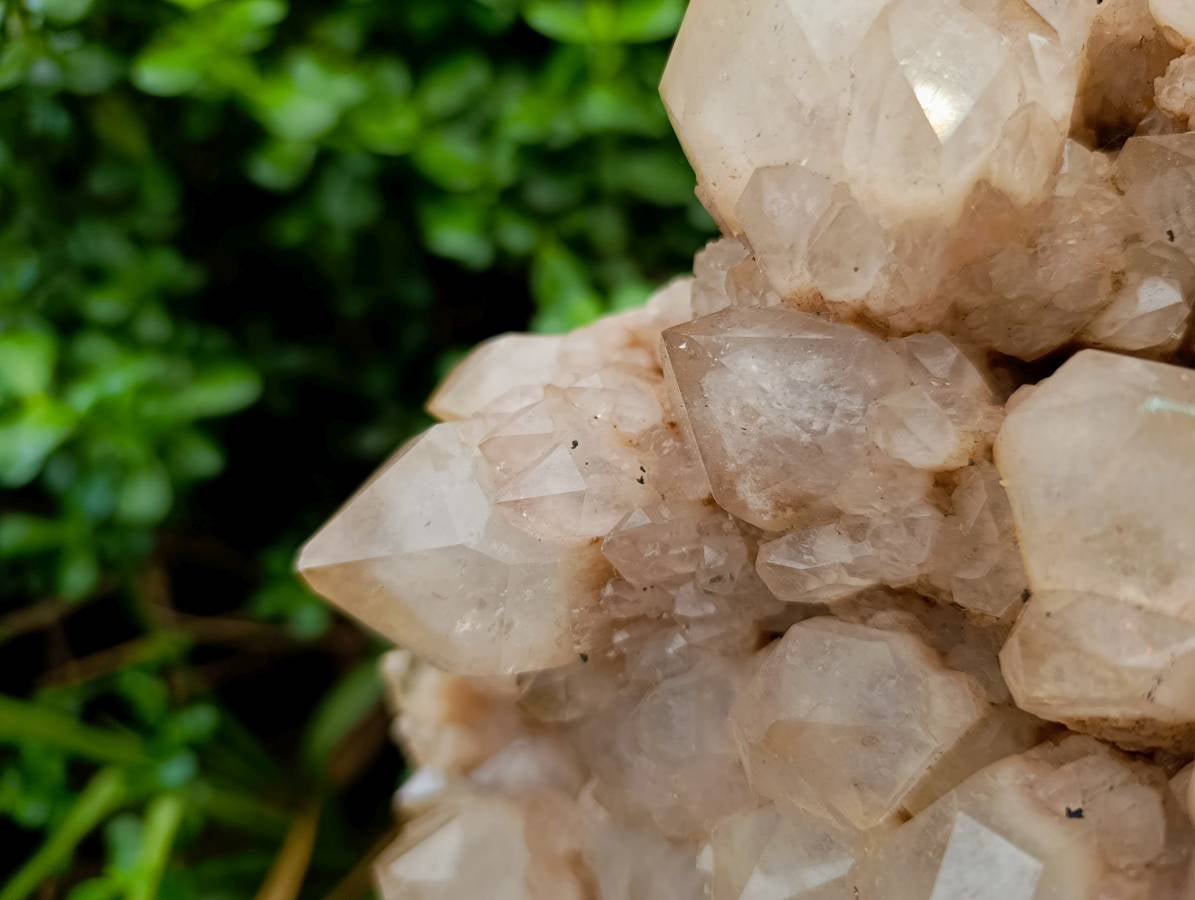 Natural XXL Smokey Phantom Quartz Cluster x 1 From Luena, Congo
