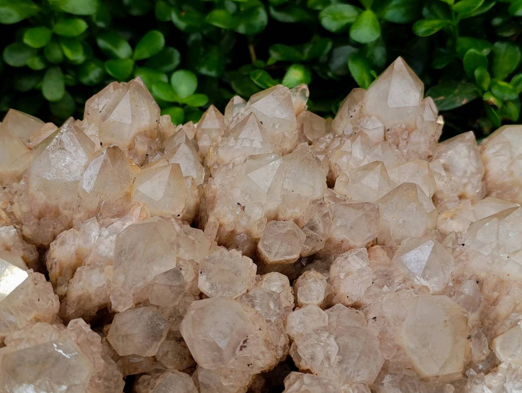 Natural XXL Smokey Phantom Quartz Cluster x 1 From Luena, Congo