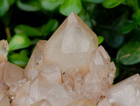 Natural XXL Smokey Phantom Quartz Cluster x 1 From Luena, Congo