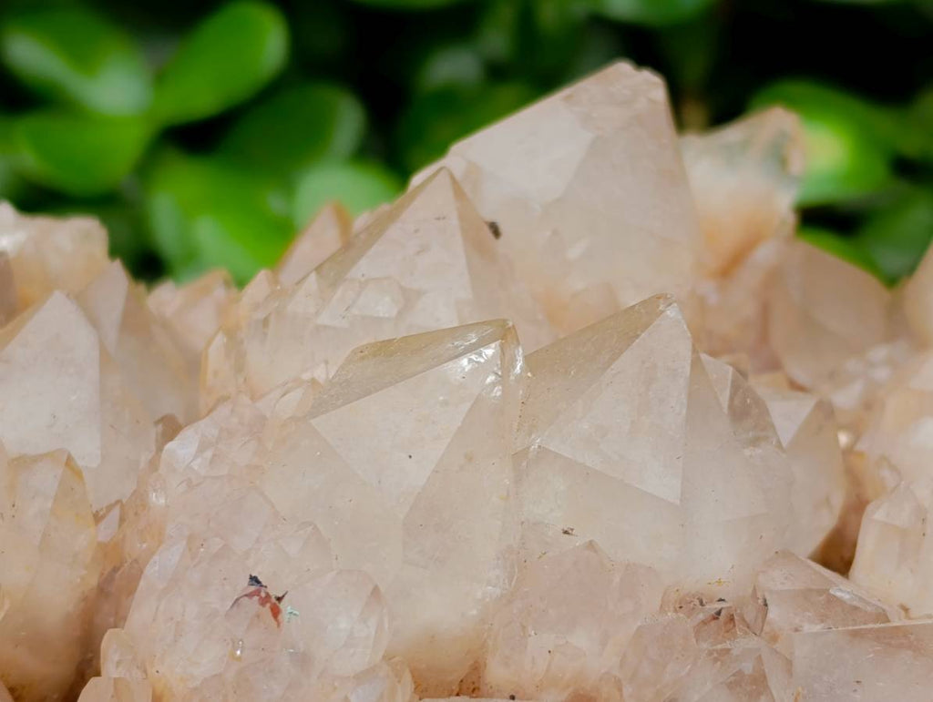 Natural XXL Smokey Phantom Quartz Cluster x 1 From Luena, Congo