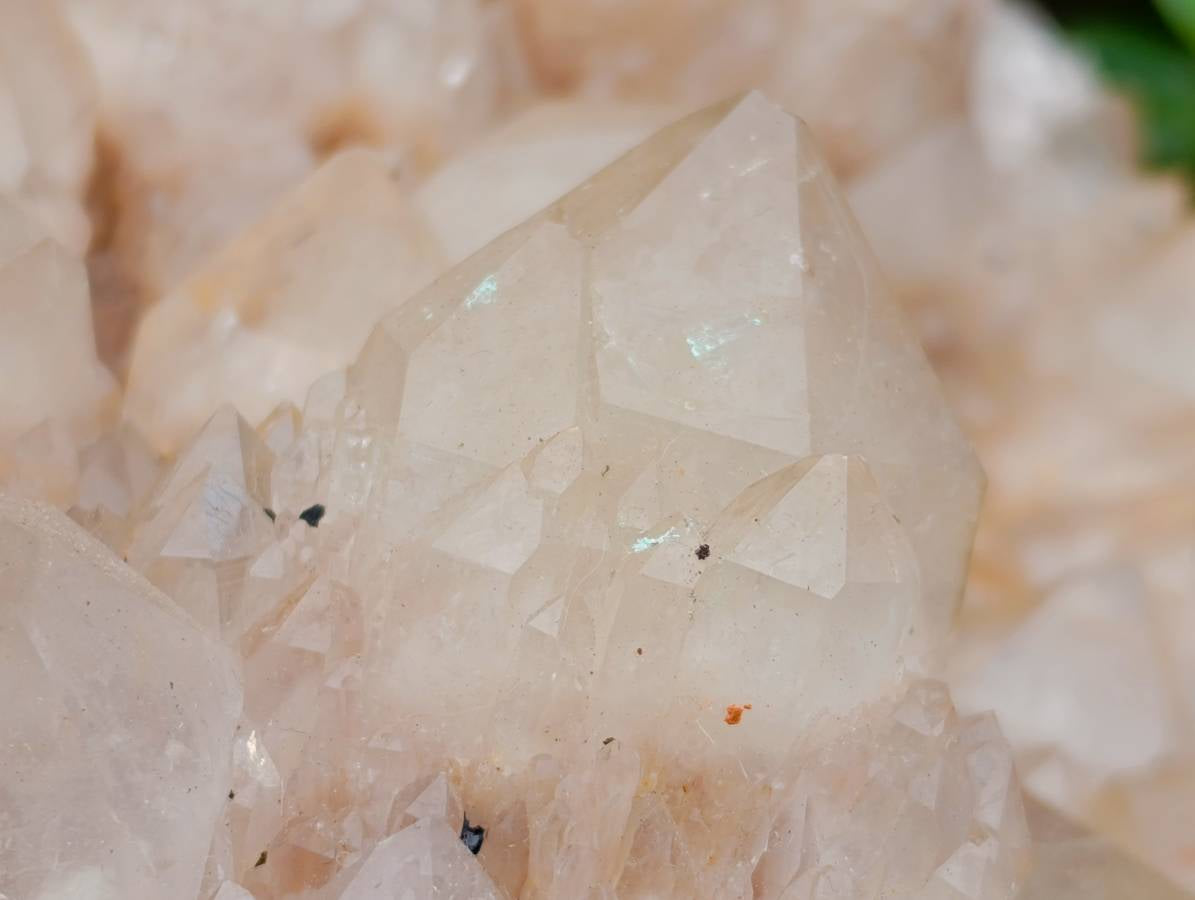 Natural XXL Smokey Phantom Quartz Cluster x 1 From Luena, Congo