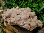 Natural XXL Smokey Phantom Quartz Cluster x 1 From Luena, Congo