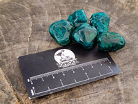 Polished Dioptase Free Forms x 20 From Likasi, Congo
