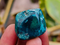Polished Dioptase Free Forms x 20 From Likasi, Congo