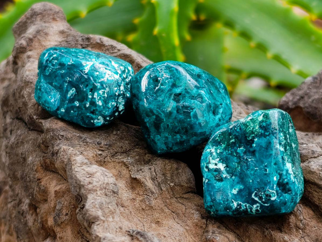 Polished Dioptase Free Forms x 20 From Likasi, Congo - Toprock Gemstones and Minerals 