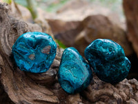 Polished Dioptase Free Forms x 20 From Likasi, Congo