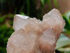 Natural Smokey Phantom Quartz Clusters x 6 From Luena, Congo