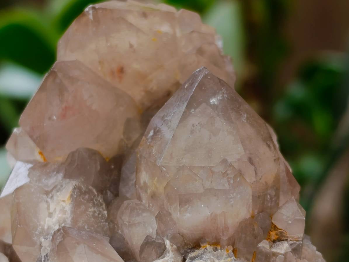 Natural Smokey Phantom Quartz Clusters x 6 From Luena, Congo