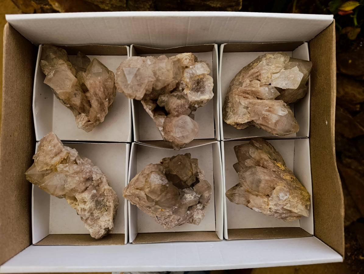 Natural Smokey Phantom Quartz Clusters x 6 From Luena, Congo