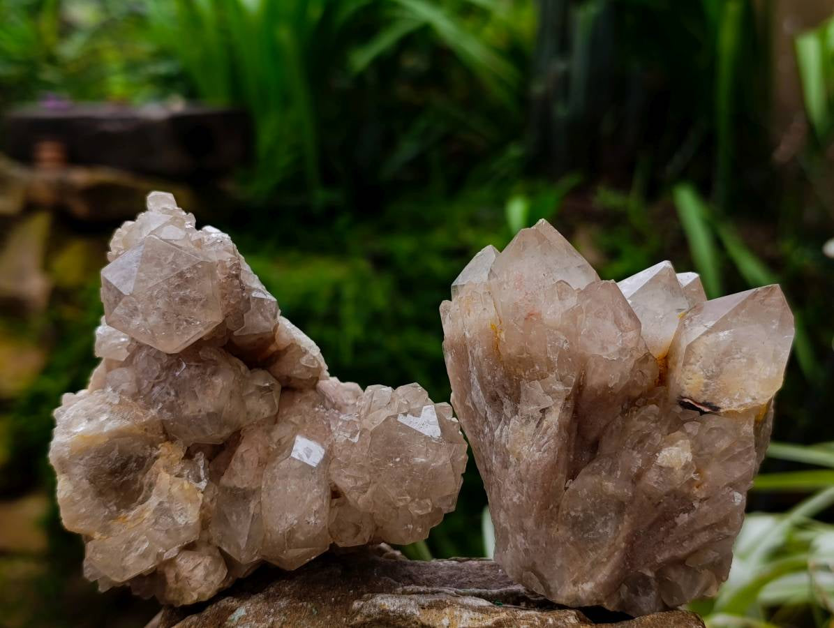 Natural Smokey Phantom Quartz Clusters x 6 From Luena, Congo