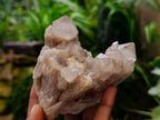 Natural Smokey Phantom Quartz Clusters x 6 From Luena, Congo