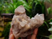 Natural Smokey Phantom Quartz Clusters x 6 From Luena, Congo