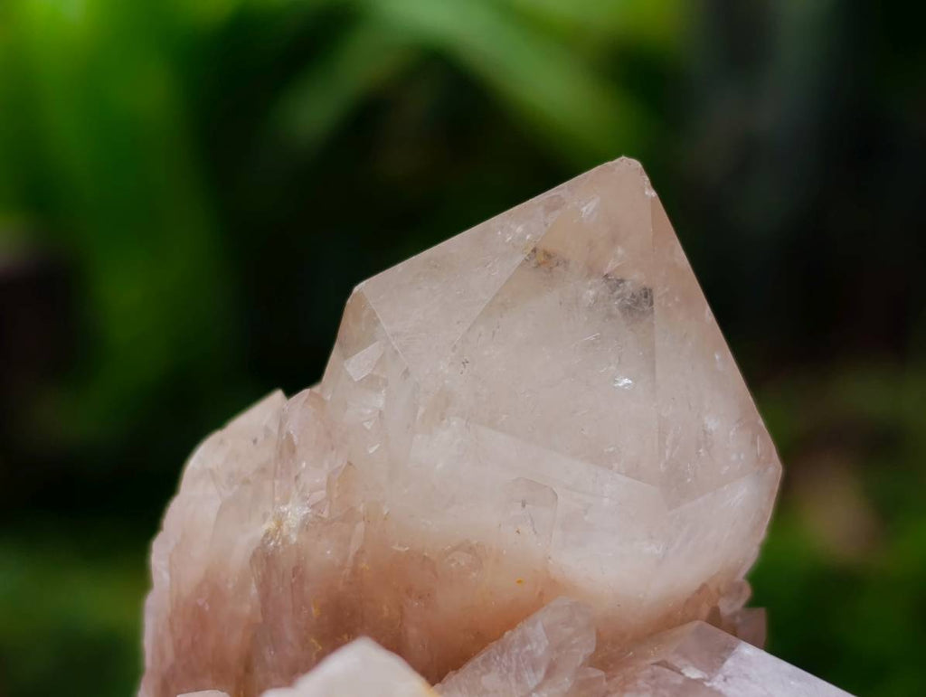 Natural Smokey Phantom Quartz Clusters x 6 From Luena, Congo