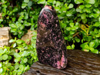 Polished Rhodonite Standing Free Form x 1 From Ambindavato, Madagascar