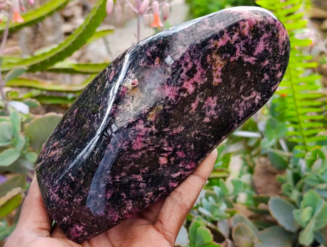 Polished Rhodonite Standing Free Form x 1 From Ambindavato, Madagascar