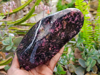 Polished Rhodonite Standing Free Form x 1 From Ambindavato, Madagascar