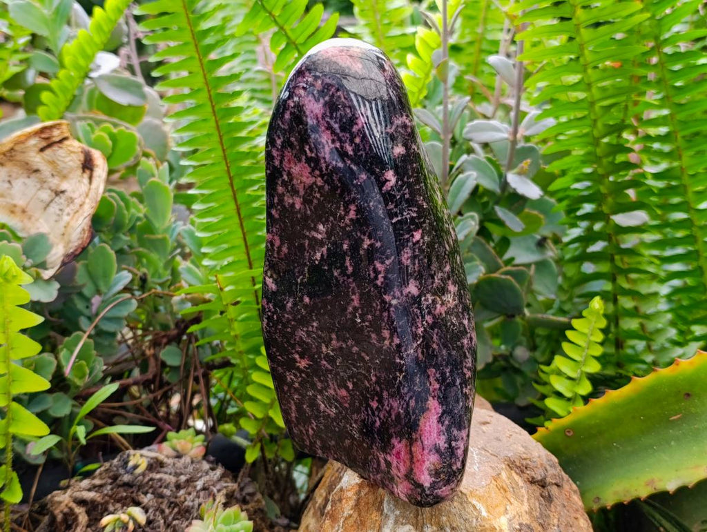 Polished Rhodonite Standing Free Form x 1 From Ambindavato, Madagascar