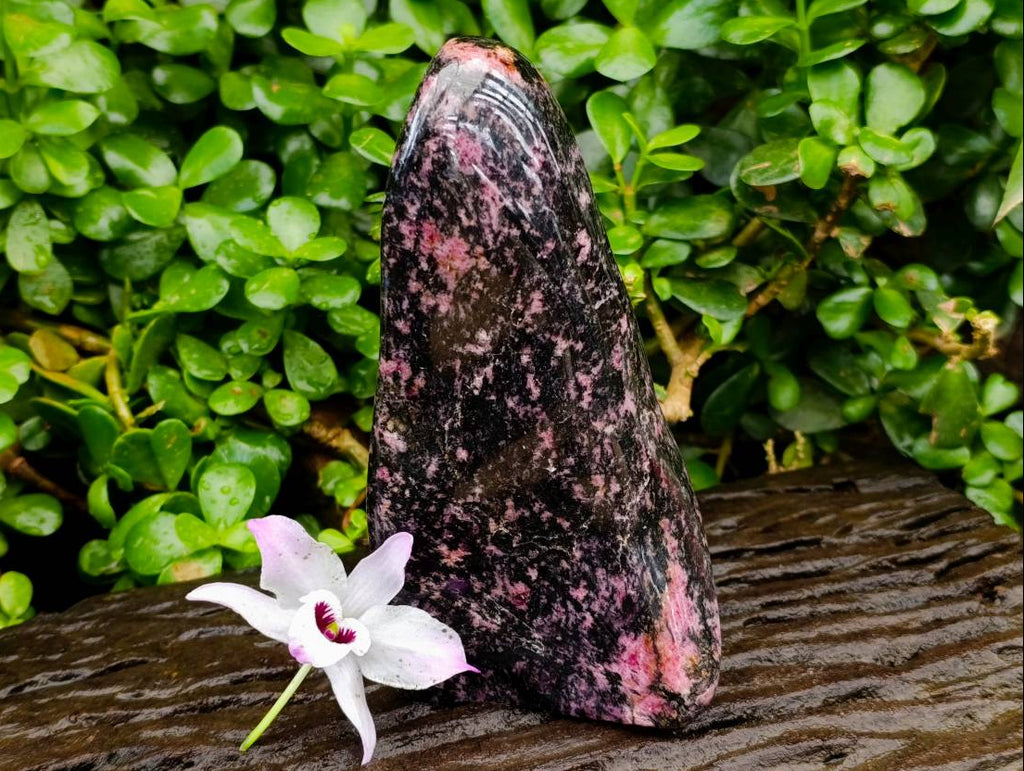 Polished Rhodonite Standing Free Form x 1 From Ambindavato, Madagascar