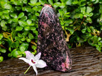 Polished Rhodonite Standing Free Form x 1 From Ambindavato, Madagascar