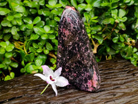Polished Rhodonite Standing Free Form x 1 From Ambindavato, Madagascar