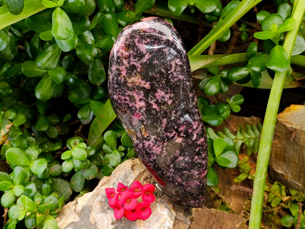 Polished Rhodonite Standing Free Form x 1 From Ambindavato, Madagascar