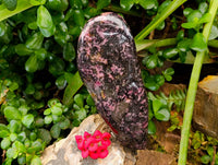 Polished Rhodonite Standing Free Form x 1 From Ambindavato, Madagascar