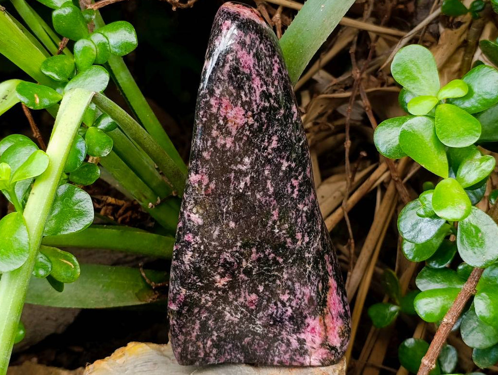 Polished Rhodonite Standing Free Form x 1 From Ambindavato, Madagascar