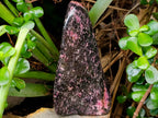Polished Rhodonite Standing Free Form x 1 From Ambindavato, Madagascar