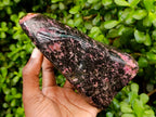 Polished Rhodonite Standing Free Form x 1 From Ambindavato, Madagascar