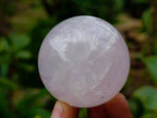 Polished Rose Quartz Spheres x 6 From Madagascar
