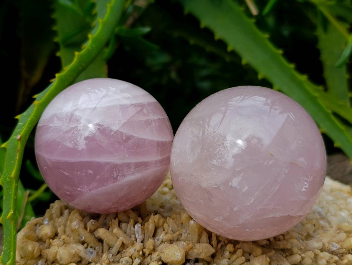 Polished Rose Quartz Spheres x 6 From Madagascar