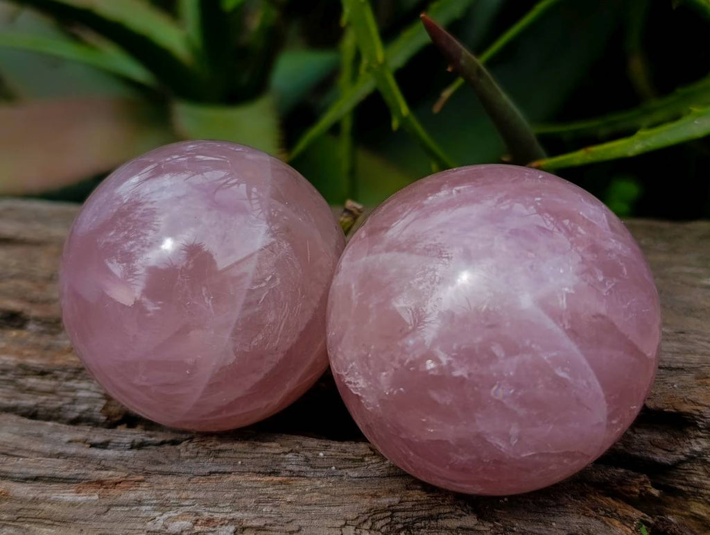 Polished Rose Quartz Spheres x 6 From Madagascar