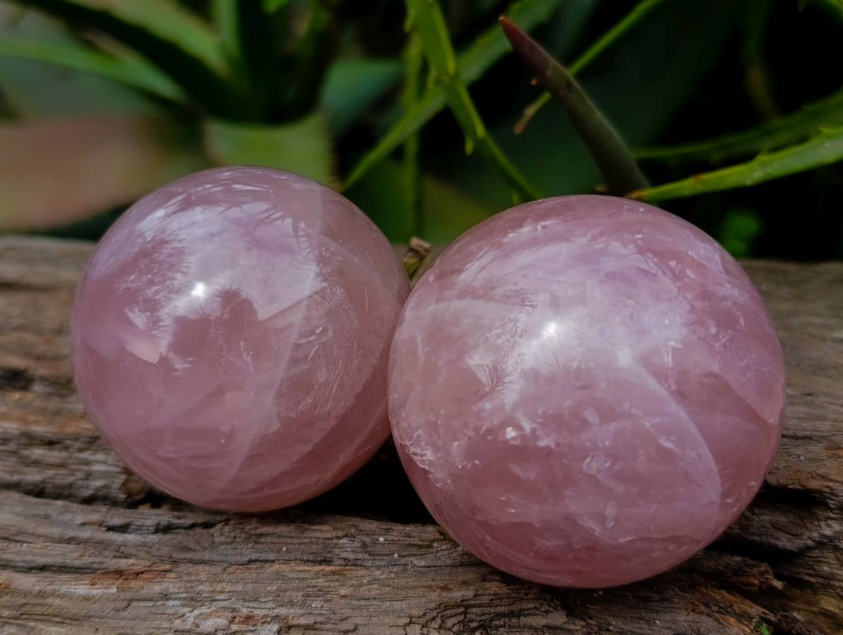 Polished Rose Quartz Spheres x 6 From Madagascar
