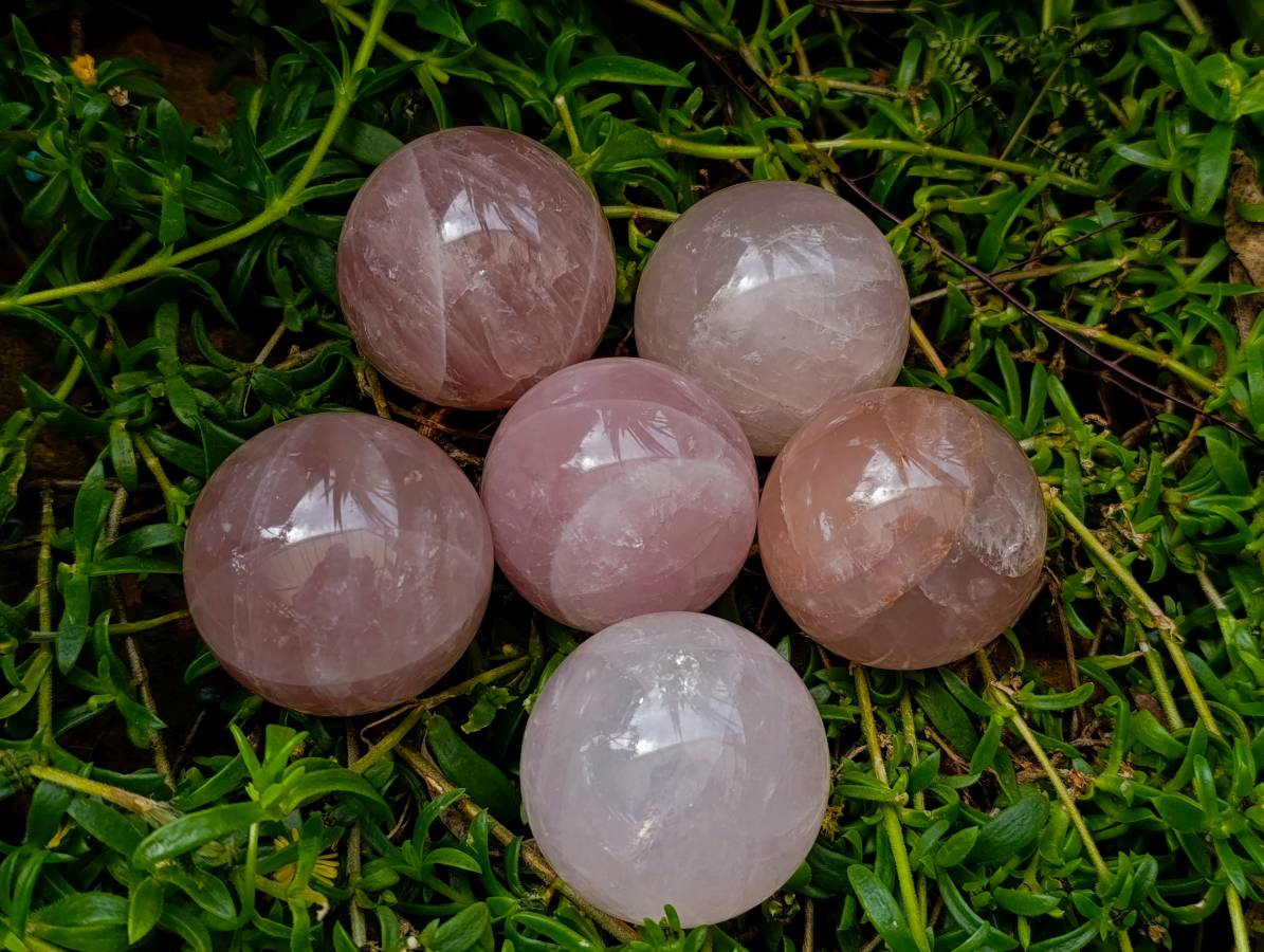 Polished Rose Quartz Spheres x 6 From Madagascar