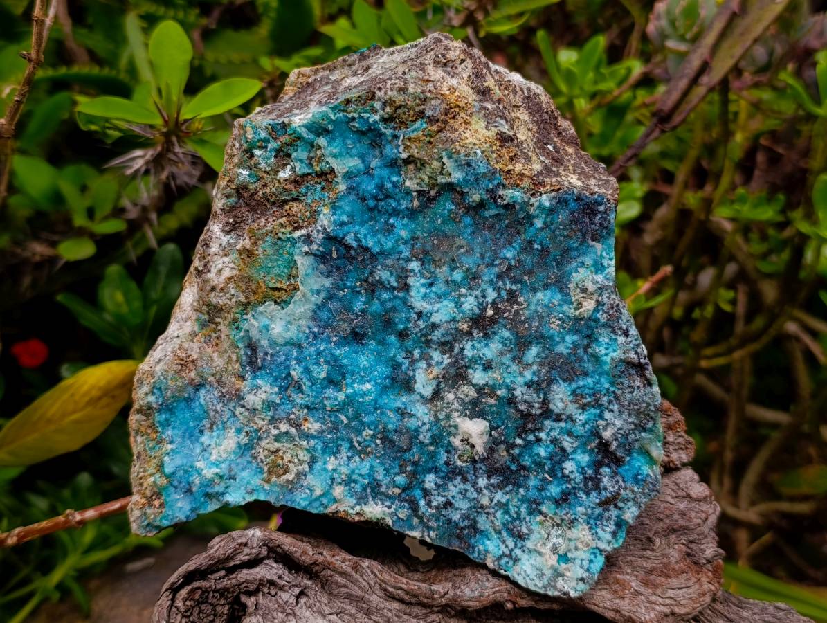 Natural Drusy Coated Chrysocolla Specimens x 2 From Likasi, Congo