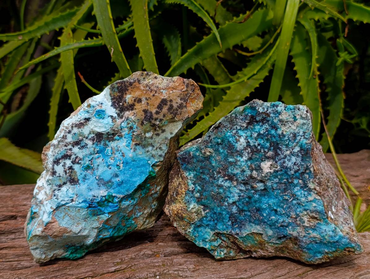Natural Drusy Coated Chrysocolla Specimens x 2 From Likasi, Congo