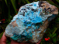 Natural Drusy Coated Chrysocolla Specimens x 2 From Likasi, Congo