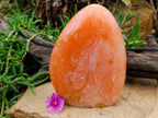 Polished Orange Twist Calcite Standing Free Forms x 2 From Maevantanana, Madagascar