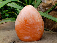 Polished Orange Twist Calcite Standing Free Forms x 2 From Maevantanana, Madagascar
