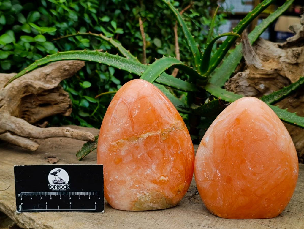 Polished Orange Twist Calcite Standing Free Forms x 2 From Maevantanana, Madagascar
