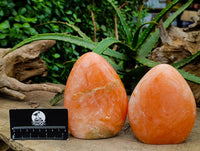 Polished Orange Twist Calcite Standing Free Forms x 2 From Maevantanana, Madagascar