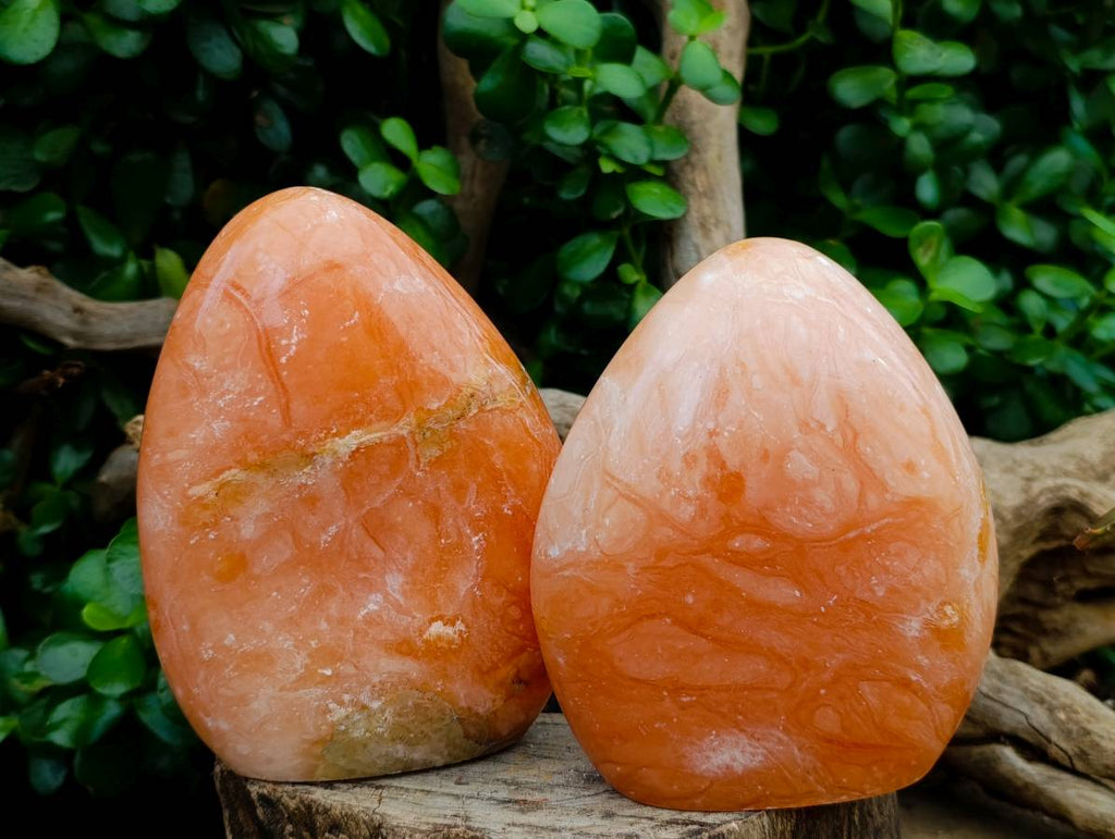 Polished Orange Twist Calcite Standing Free Forms x 2 From Maevantanana, Madagascar