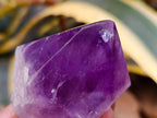 Polished Jacaranda Amethyst Quartz Crystals x 12 From Mumbwa, Zambia - Toprock Gemstones and Minerals 