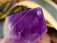 Polished Jacaranda Amethyst Quartz Crystals x 12 From Mumbwa, Zambia