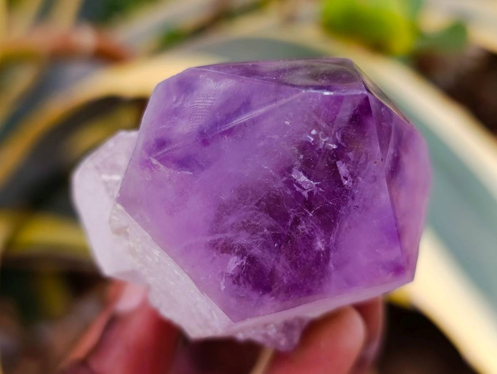 Polished Jacaranda Amethyst Quartz Crystals x 12 From Mumbwa, Zambia - Toprock Gemstones and Minerals 