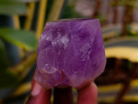 Polished Jacaranda Amethyst Quartz Crystals x 12 From Mumbwa, Zambia