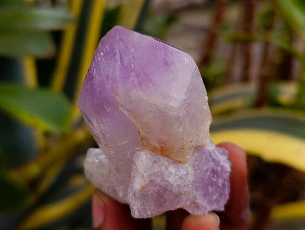 Polished Jacaranda Amethyst Quartz Crystals x 12 From Mumbwa, Zambia - Toprock Gemstones and Minerals 