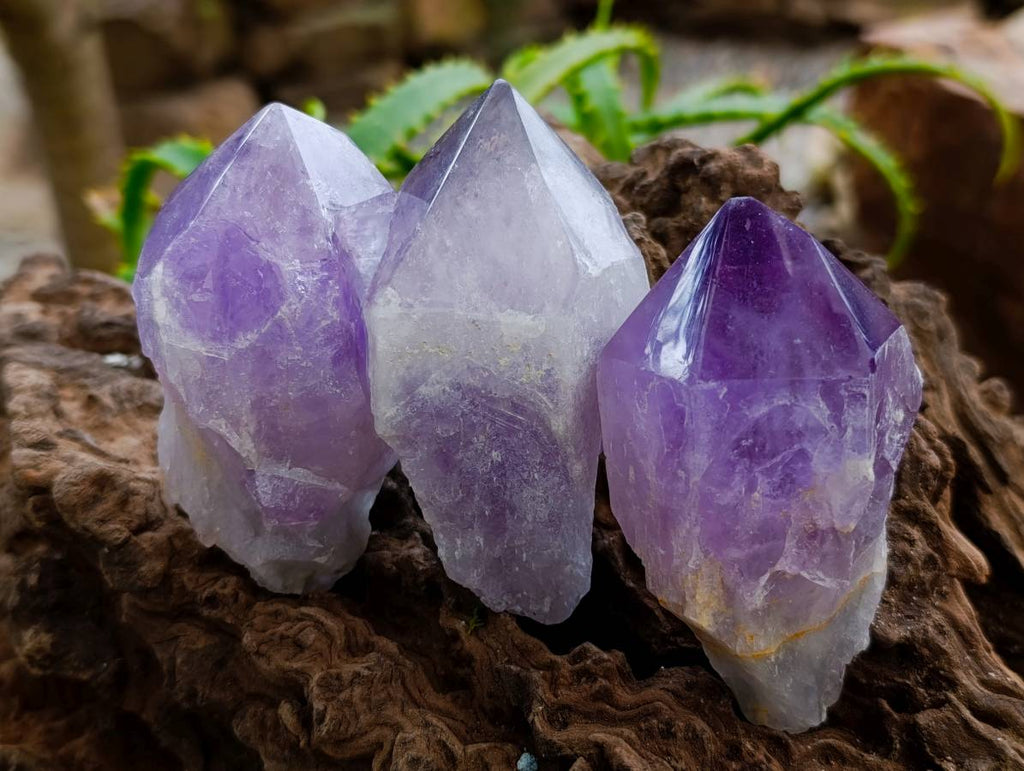 Polished Jacaranda Amethyst Quartz Crystals x 12 From Mumbwa, Zambia - Toprock Gemstones and Minerals 