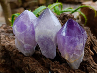 Polished Jacaranda Amethyst Quartz Crystals x 12 From Mumbwa, Zambia